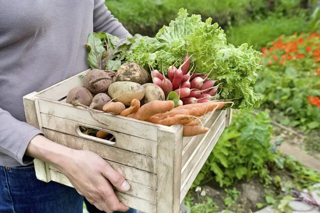 Garantierte Frische und Bio Qualität​
